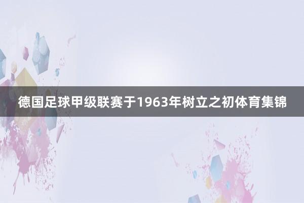 德国足球甲级联赛于1963年树立之初体育集锦