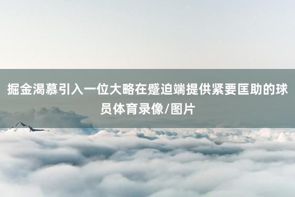 掘金渴慕引入一位大略在蹙迫端提供紧要匡助的球员体育录像/图片