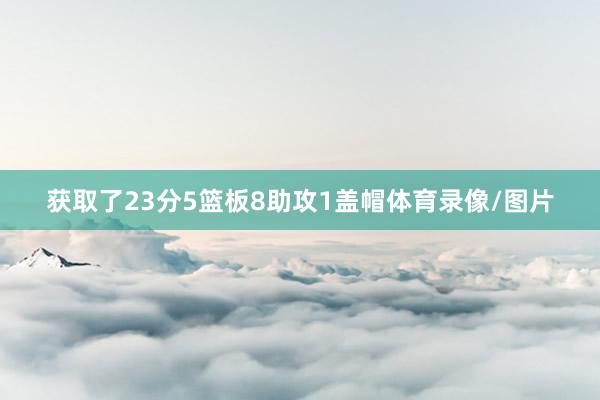 获取了23分5篮板8助攻1盖帽体育录像/图片