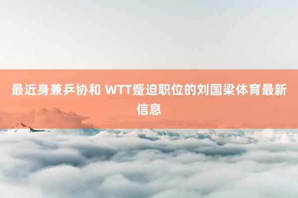 最近身兼乒协和 WTT蹙迫职位的刘国梁体育最新信息