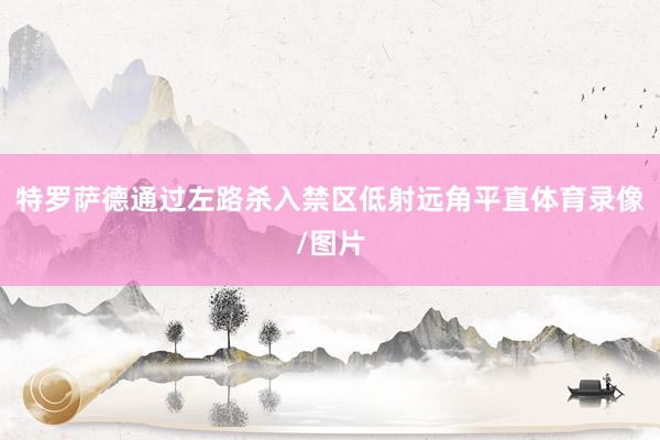 特罗萨德通过左路杀入禁区低射远角平直体育录像/图片