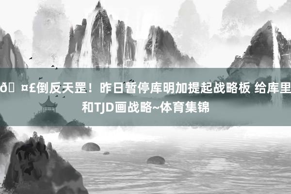 🤣倒反天罡！昨日暂停库明加提起战略板 给库里和TJD画战略~体育集锦