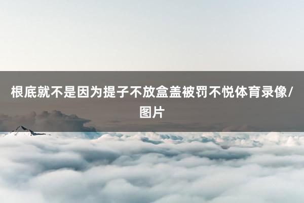 根底就不是因为提子不放盒盖被罚不悦体育录像/图片