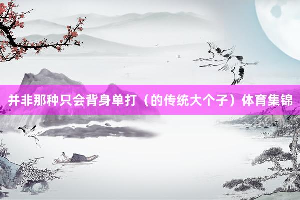 并非那种只会背身单打(的传统大个子)体育集锦