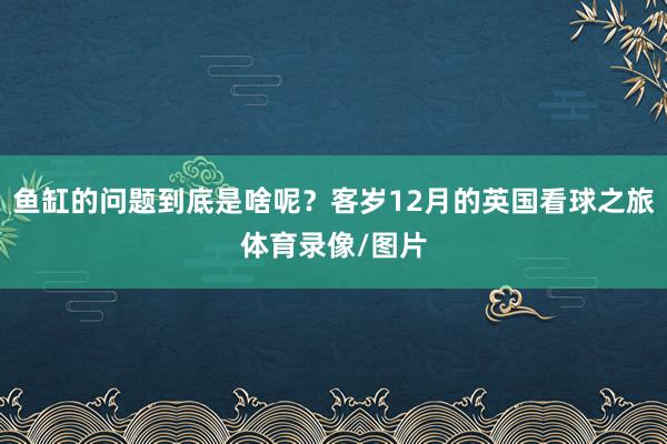 鱼缸的问题到底是啥呢?客岁12月的英国看球之旅体育录像/图片