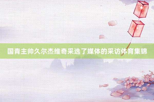 国青主帅久尔杰维奇采选了媒体的采访体育集锦
