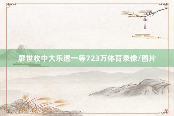 廖世收中大乐透一等723万体育录像/图片