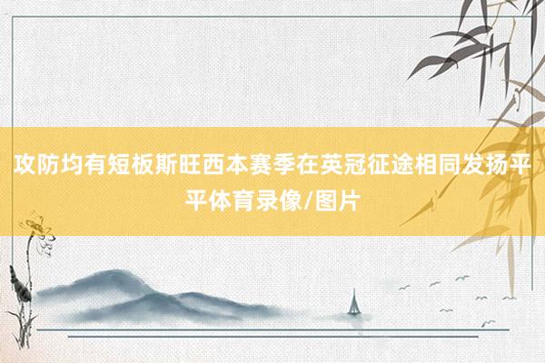 攻防均有短板斯旺西本赛季在英冠征途相同发扬平平体育录像/图片