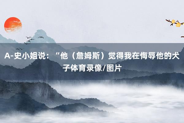 A-史小姐说：“他（詹姆斯）觉得我在侮辱他的犬子体育录像/图片