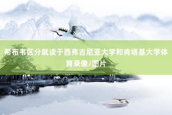 希布韦区分就读于西弗吉尼亚大学和肯塔基大学体育录像/图片