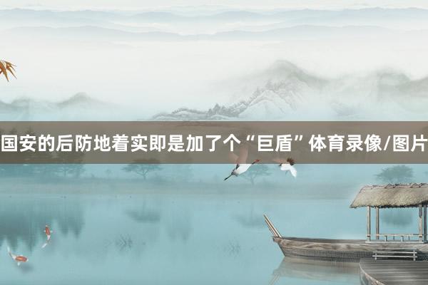 国安的后防地着实即是加了个“巨盾”体育录像/图片