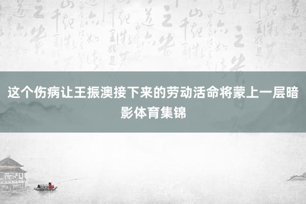 这个伤病让王振澳接下来的劳动活命将蒙上一层暗影体育集锦