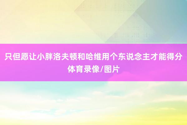 只但愿让小胖洛夫顿和哈维用个东说念主才能得分体育录像/图片
