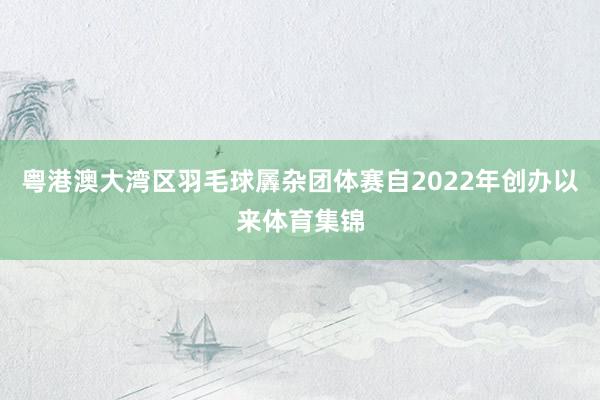 粤港澳大湾区羽毛球羼杂团体赛自2022年创办以来体育集锦