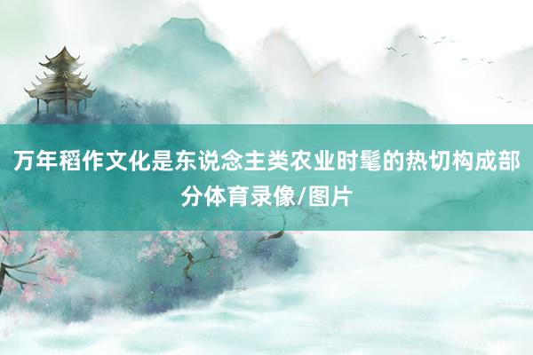 万年稻作文化是东说念主类农业时髦的热切构成部分体育录像/图片