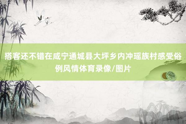 搭客还不错在咸宁通城县大坪乡内冲瑶族村感受俗例风情体育录像/图片