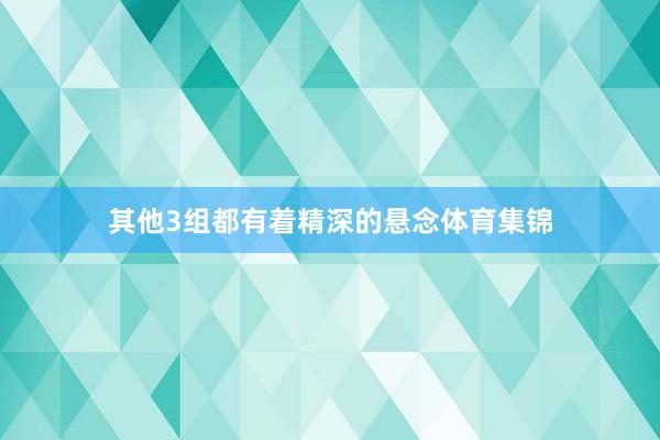 其他3组都有着精深的悬念体育集锦
