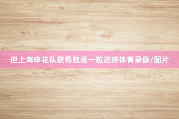 但上海申花队获得独逐一粒进球体育录像/图片