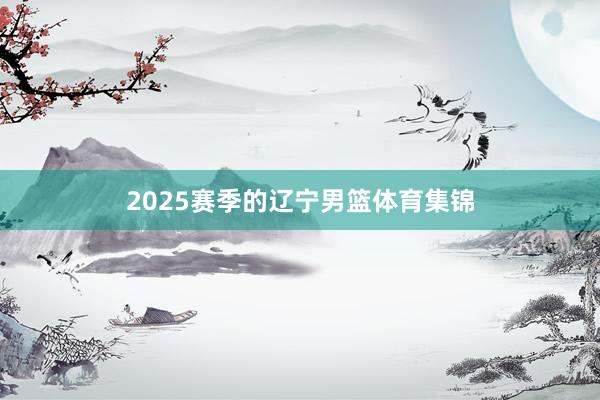 2025赛季的辽宁男篮体育集锦