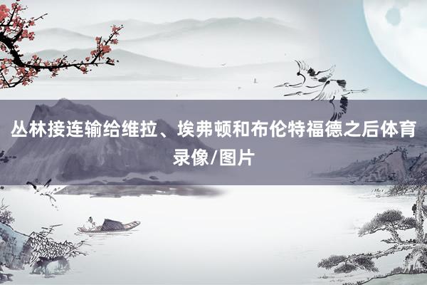 丛林接连输给维拉、埃弗顿和布伦特福德之后体育录像/图片