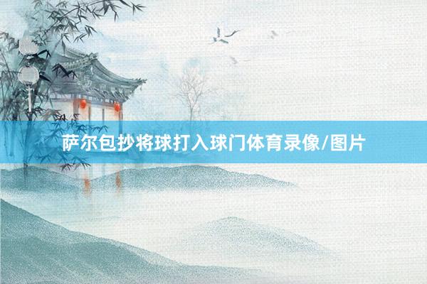 萨尔包抄将球打入球门体育录像/图片