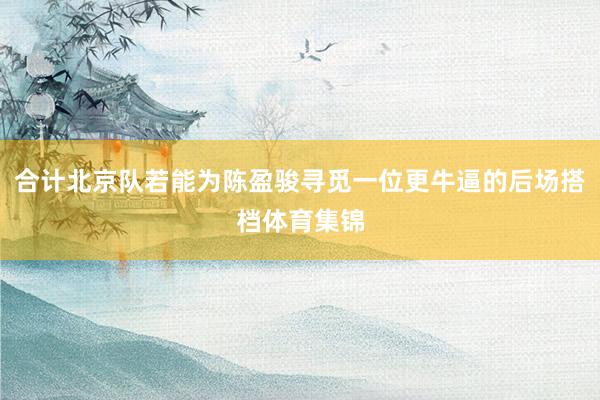 合计北京队若能为陈盈骏寻觅一位更牛逼的后场搭档体育集锦