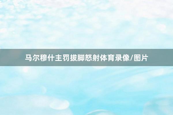 马尔穆什主罚拔脚怒射体育录像/图片