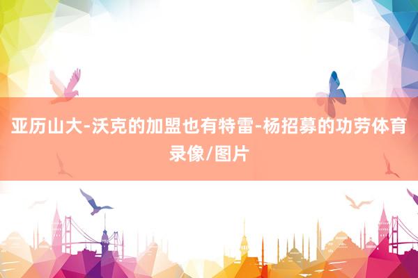 亚历山大-沃克的加盟也有特雷-杨招募的功劳体育录像/图片