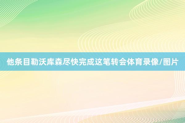 他条目勒沃库森尽快完成这笔转会体育录像/图片