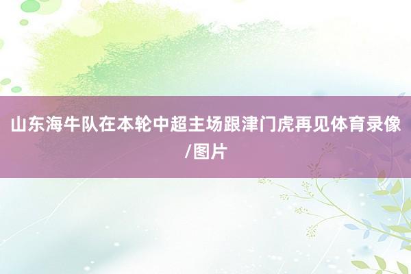 山东海牛队在本轮中超主场跟津门虎再见体育录像/图片