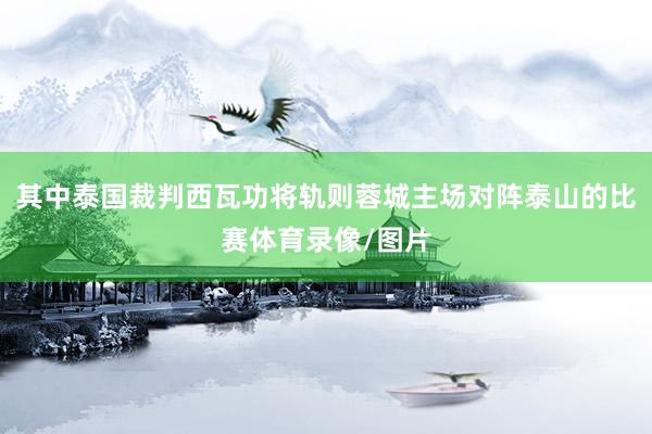 其中泰国裁判西瓦功将轨则蓉城主场对阵泰山的比赛体育录像/图片