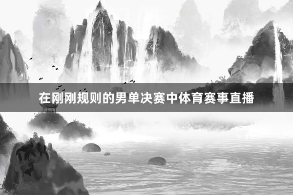 在刚刚规则的男单决赛中体育赛事直播