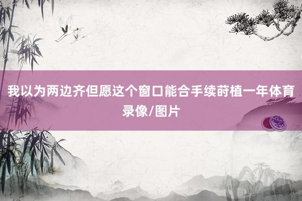 我以为两边齐但愿这个窗口能合手续莳植一年体育录像/图片
