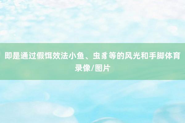 即是通过假饵效法小鱼、虫豸等的风光和手脚体育录像/图片