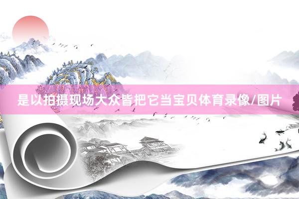 是以拍摄现场大众皆把它当宝贝体育录像/图片