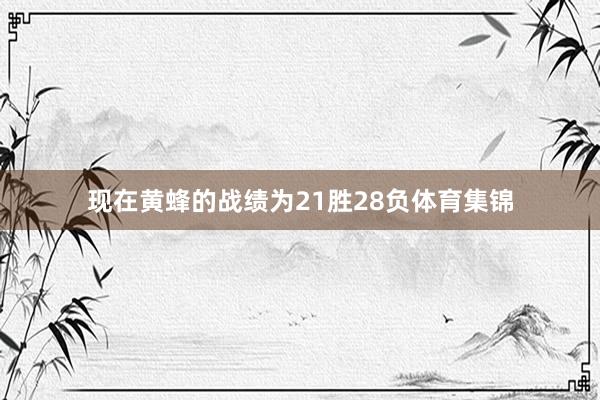 现在黄蜂的战绩为21胜28负体育集锦