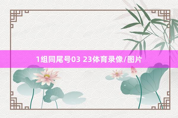 1组同尾号03 23体育录像/图片