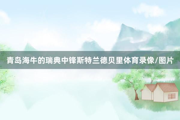 青岛海牛的瑞典中锋斯特兰德贝里体育录像/图片