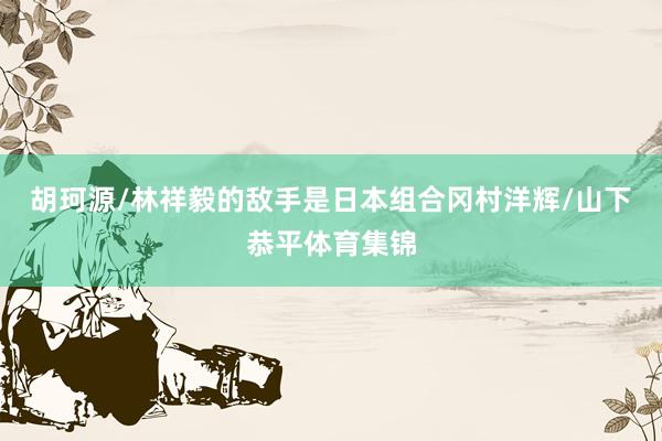 胡珂源/林祥毅的敌手是日本组合冈村洋辉/山下恭平体育集锦