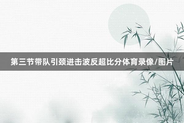 第三节带队引颈进击波反超比分体育录像/图片