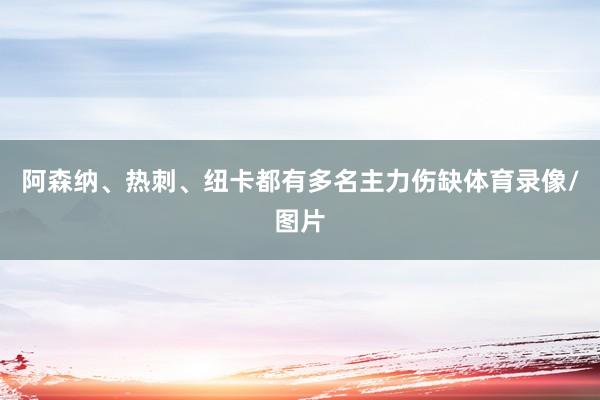 阿森纳、热刺、纽卡都有多名主力伤缺体育录像/图片