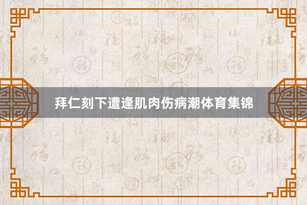 拜仁刻下遭逢肌肉伤病潮体育集锦