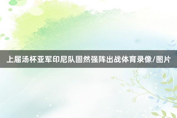 上届汤杯亚军印尼队固然强阵出战体育录像/图片