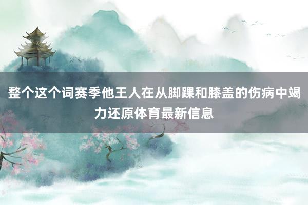 整个这个词赛季他王人在从脚踝和膝盖的伤病中竭力还原体育最新信息