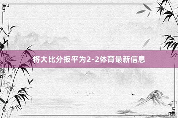 将大比分扳平为2-2体育最新信息