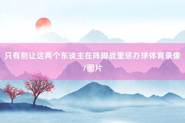 只有别让这两个东谈主在阵脚战里惩办球体育录像/图片
