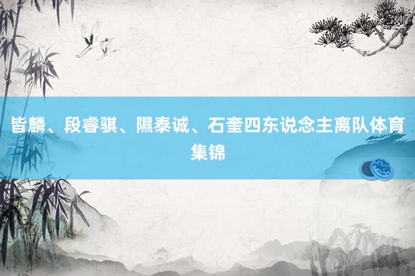 皆麟、段睿骐、隰泰诚、石奎四东说念主离队体育集锦