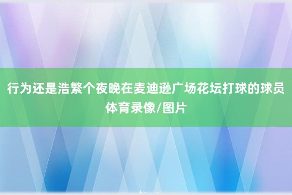 行为还是浩繁个夜晚在麦迪逊广场花坛打球的球员体育录像/图片