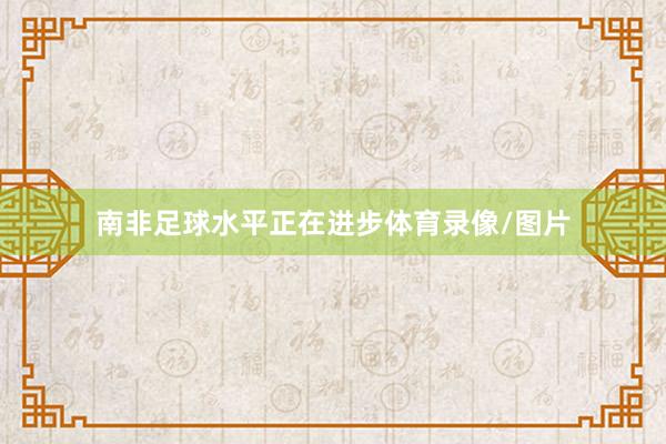 南非足球水平正在进步体育录像/图片